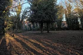 Rauceby Hospital Cemetery. Photo: Jo Thompson