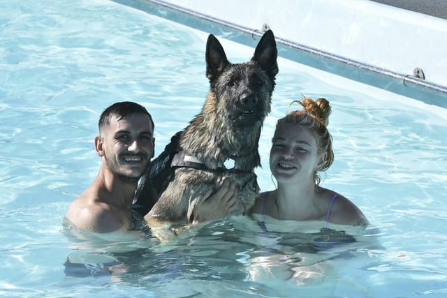 There were dogs galore at Peterborough Lido on September 17 as owners took their furry friends to the annual Dog Swim.