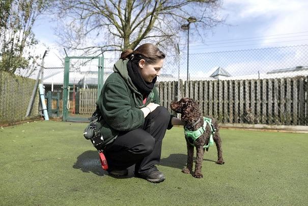 Buttercup with handler Katie