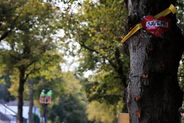 New figures reveal Peterborough has lower tree coverage than the English average