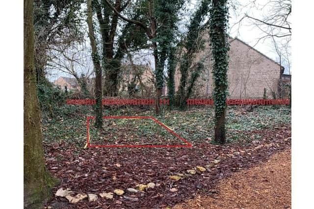 The exact location of the container, one sycamore tree would have had to be removed.