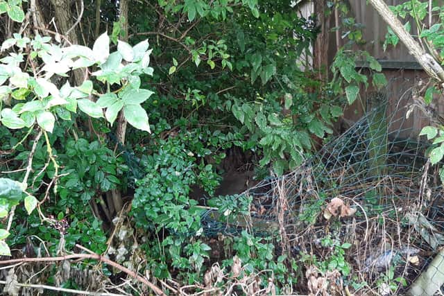 The gap between the Cross Keys and school fence should be covered by a mesh fence - but Jayne says this has been broken since she moved into her house in 2017