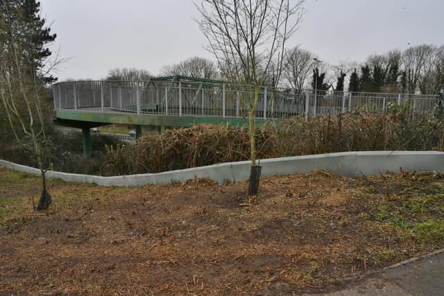 Bushes trimmed in the area around the green bridge which connects Bretton to the City Hospital.