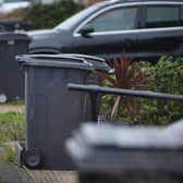 Reducing the size of black wheelie bins could be trialled in Peterborough