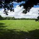 Werrington Fields