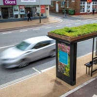 Plans for new 'bee bus stops' could be rolled out across Peterborough