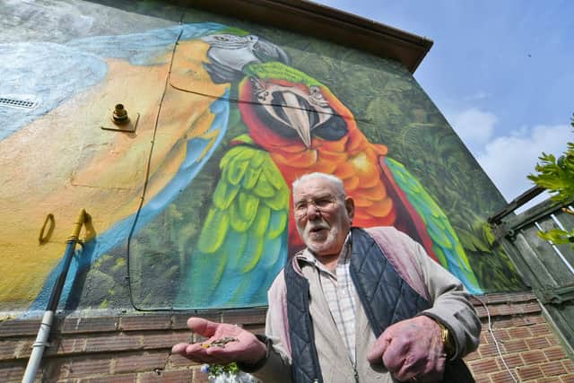 Gordon has kept and bred birds for decades and wanted to showcase his love for birds on his house (image: David Lowndes)
