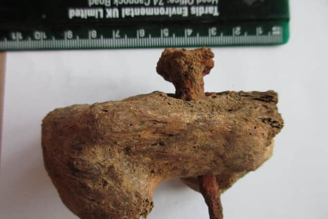 Nail lodged in the heel of the crucified man (image: Albion Archaeology)