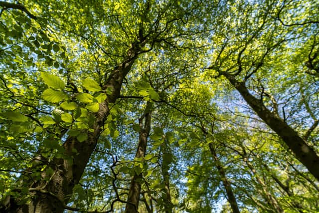 You can have your say on biodiversity policies in Peterborough