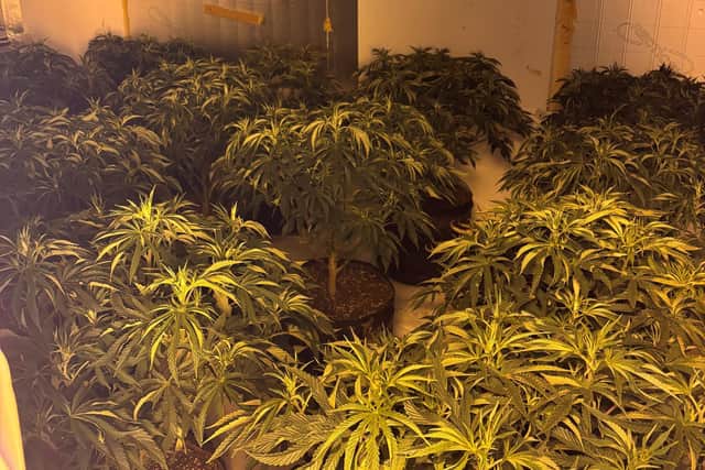 Some of the drugs found during the raids