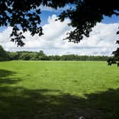 Werrington Fields - the idea that these playing fields can be deprived to the people of Werrington is just unthinkable