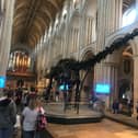 Dippy has been on a national tour - but is now back at the National History Museum
