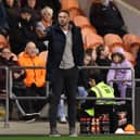 Blackpool boss Ian Evatt (Photo by Kate McShane/Getty Images).