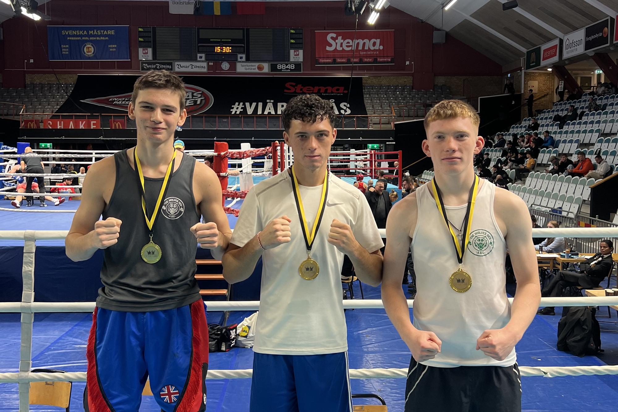 Punch perfect performances from the Wolves Den boxing pack as they ...