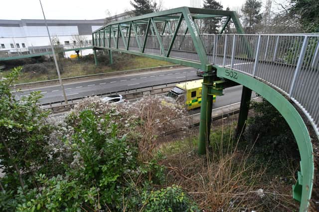 Bushes trimmed in the area around the green bridge which connects Bretton to the City Hospital.