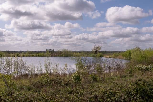 A great new spot for wildlife and nature lovers - the western lake at Christ's College pit.