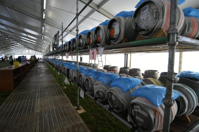 Peterborough CAMRA Beer Festival opens on the Embankment this week.   