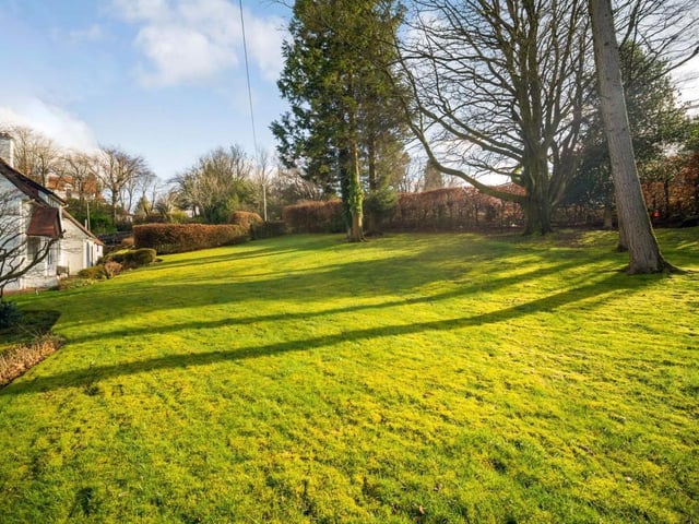 Garden.