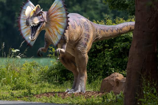 The dinosaur display at Hamerton Zoo park, near Sawtry