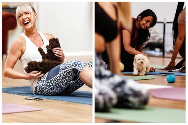 Puppy Yoga sessions last 35 to 40 minutes (images: Ruby Red Photography).