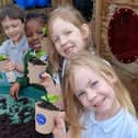 Children planting lettuce plants to take home