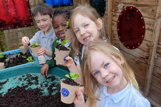 Children planting lettuce plants to take home