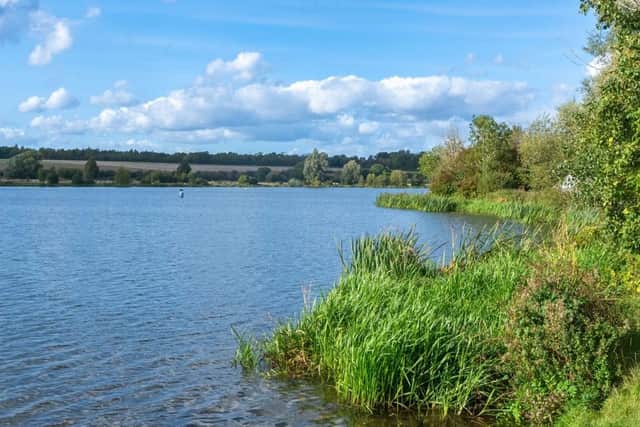 The new reedbed will help create habitats for a range of wildlife in Ferry Meadows