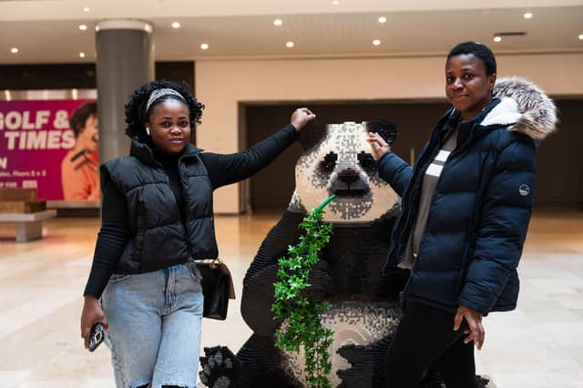 Queensgate brings Animal Paradise to Peterborough
