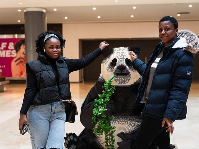 Queensgate brings Animal Paradise to Peterborough