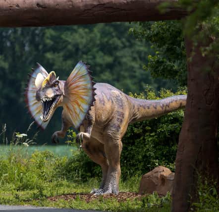 There are 14 life size dinosaur models at the attraction