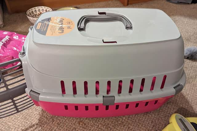 Pi was found in this cat carrier