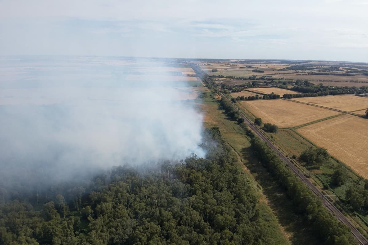 More than 80 firefighters tackle huge blaze at Holme Nature Reserve