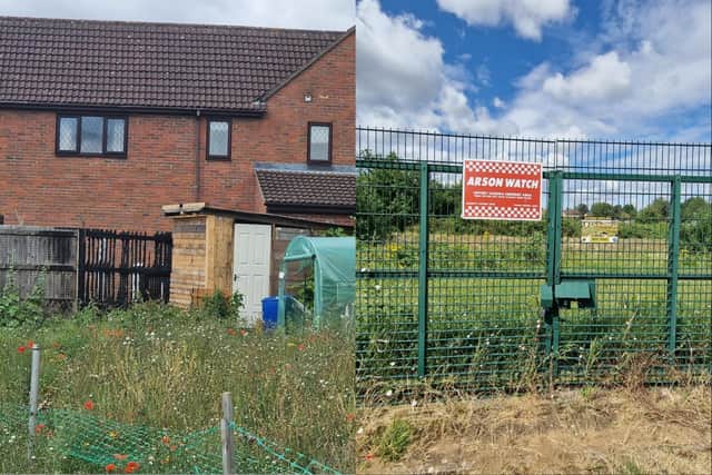 A burnt fence to Weslayan Road allotment in Dogsthorpe.
