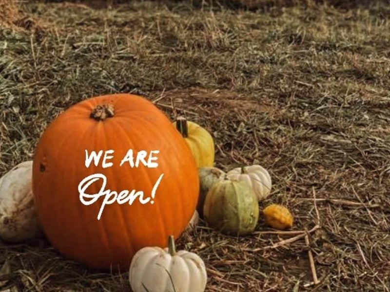 Opening times October 19-20, 24, 25, 26, 27: 10am to 4pm. October 30-31: 10am to 1pm. Free entry but tickets need to be booked.