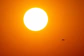A heat health alert has been issued. (Photo by Yuri CORTEZ / AFP via Getty Images)