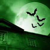 Halloween activities at Peterborough Museum and Art Gallery