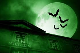 Halloween activities at Peterborough Museum and Art Gallery
