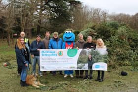 Hundreds of trees were collected thanks to the support of local businesses and individuals 