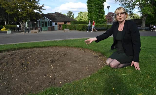 Green Party leader Nicola Day at the Central Park flower beds (image: David Lowndes)