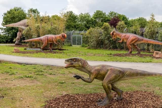 The dinosaur display at Hamerton Zoo park, near Sawtry