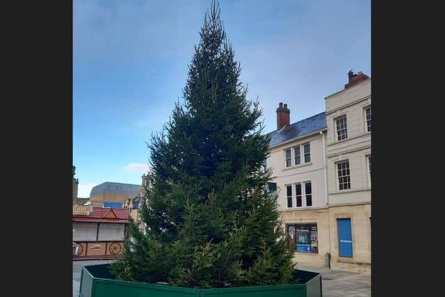 Peterborough's new Christmas tree.