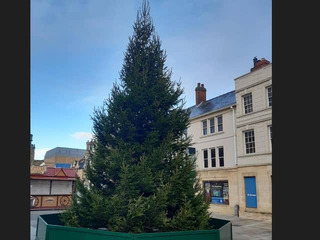 Peterborough's new Christmas tree.