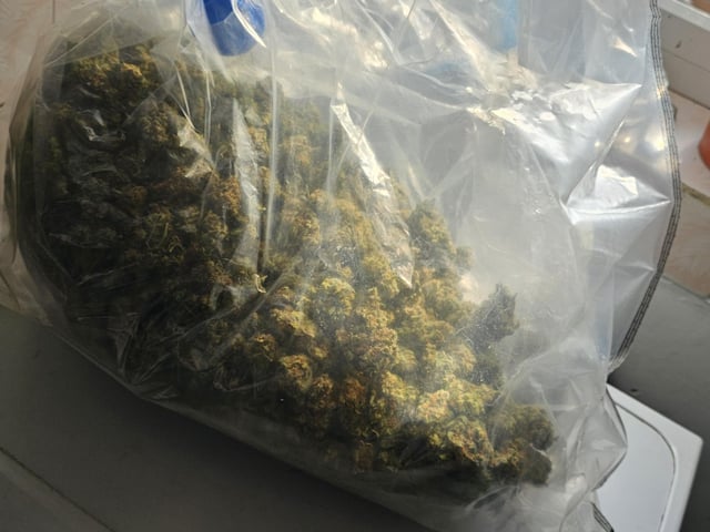 Cannabis seized today
