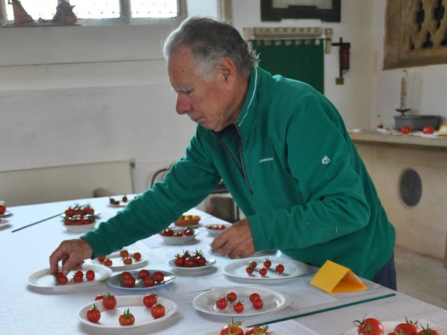 David Noble setting out his tomatoes