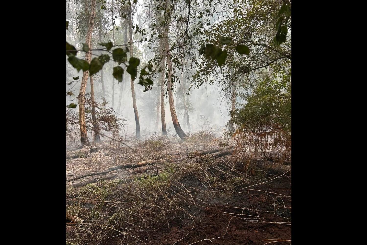 Firefighters return to scene of nature reserve fire close to Peterborough ...