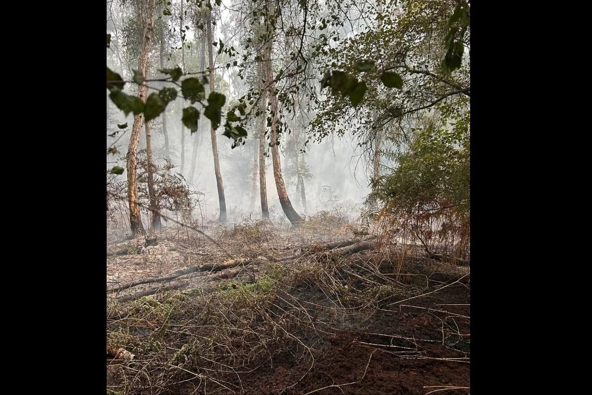 Firefighters return to scene of nature reserve fire close to Peterborough ...