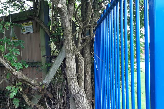 The gap leading through to Jayne's garden is between the wooden Cross Keys fence (left) and the metal primary school fence (right)