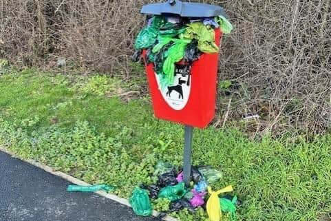Councillor Bryan Tyler believes the lack of dog waste bins on Manor Drive estate, coupled with how infrequently they are emptied, poses a health risk to children.