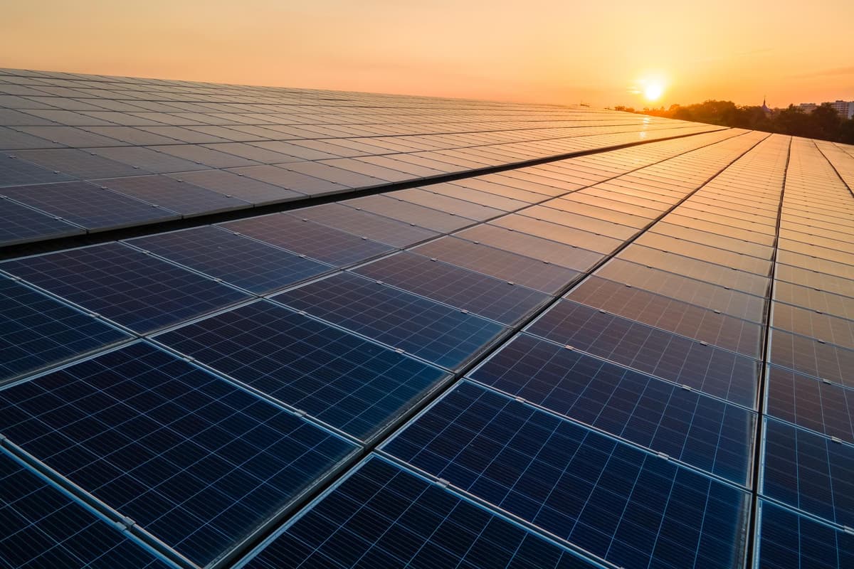 Councillors block plans to build 65,000 solar panels on farmland at Haddon 