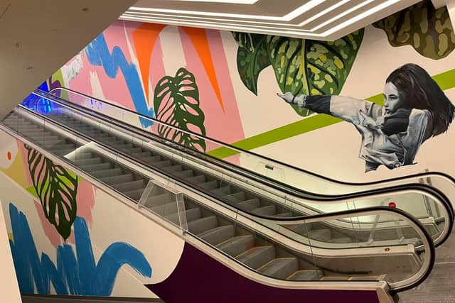 Some of the new art work in the Queensgate Shopping Centre in Peterborough by designer and painter Josephine Hicks – Hixxy.